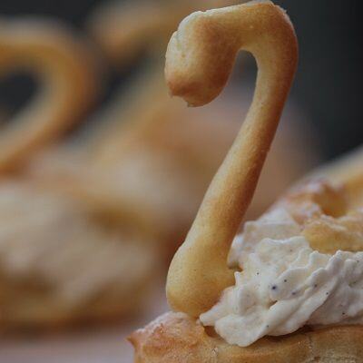 Retro Choux Swans